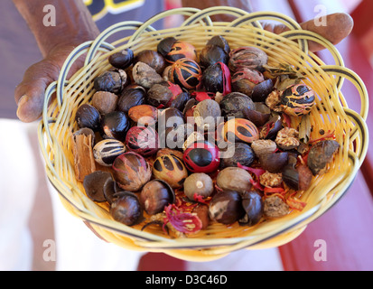 KORB VOLLER FRISCHER MUSKATNUSS MIT MACE, CARIBBEAN Stockfoto