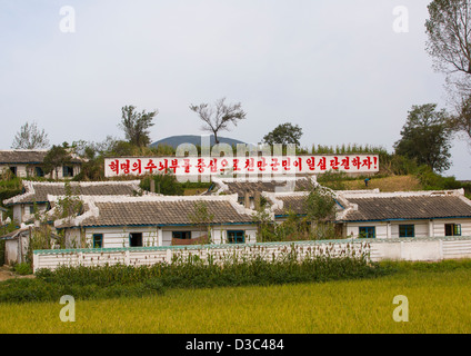 Dorf mit einem Propaganda-Plakat In einem Feld, Hamhung, Nordkorea Stockfoto