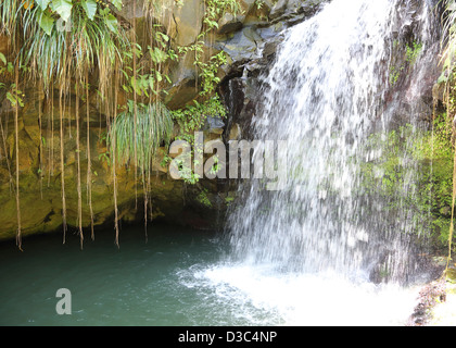 ANNANDALE WASSERFÄLLE, GRAND ETANG FOREST RESERVE, GRENADA, Stockfoto