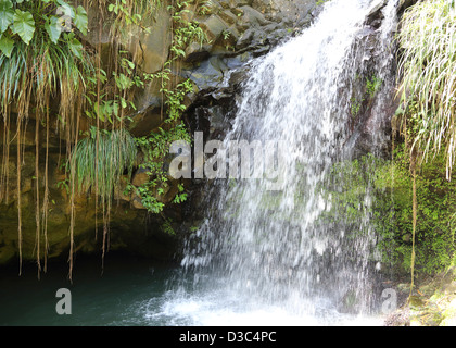 ANNANDALE WASSERFÄLLE, GRAND ETANG FOREST RESERVE, GRENADA, Stockfoto