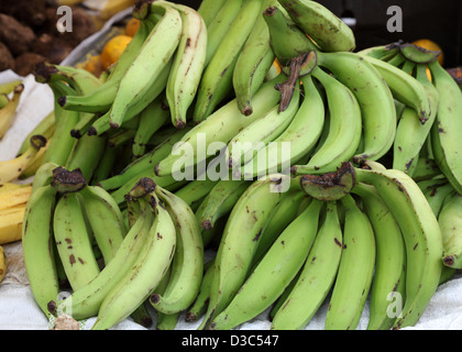 GRÜNE BANANEN, GRENADA Stockfoto