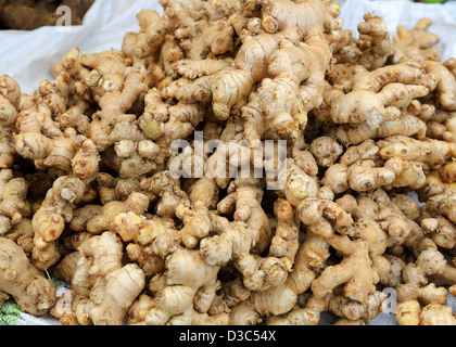 FRISCHE INGWERWURZEL Stockfoto