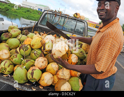 KARIBIK, MANN VERKAUFEN FRISCHE KOKOSNÜSSE, DOMINICA Stockfoto