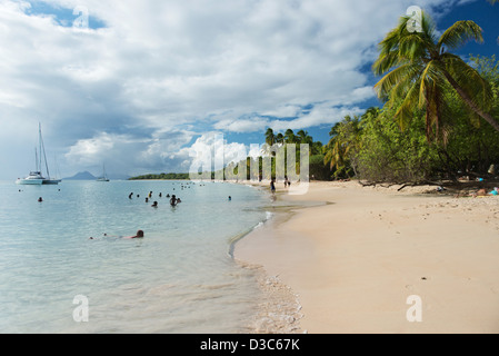 Plage des Salines, Sainte Anne Beach, Martinique Insel, kleine Antillen, Karibisches Meer, Frankreich Stockfoto