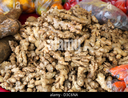 FRISCHEN INGWER KARIBIK WURZEL Stockfoto