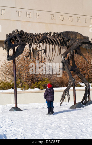 Kindes betrachtet man Bronze Dinosaurierskelett (bekannt als Big Mike) außerhalb des Museums der Rocky Mountains, Bozeman, Montana, Vereinigte Staaten von Amerika Stockfoto