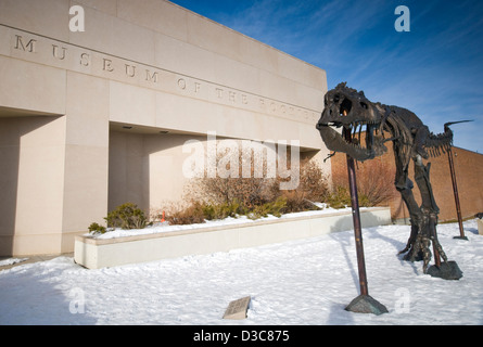 Bronze-Dinosaurier-Skelett (bekannt als Big Mike) außerhalb des Museums der Rockies in Bozeman, Montana, Vereinigte Staaten von Amerika Stockfoto