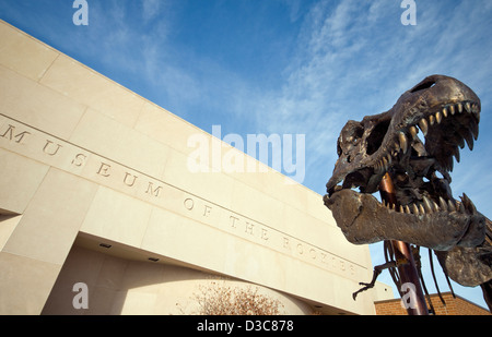 Bronze-Dinosaurier-Skelett (bekannt als Big Mike) außerhalb des Museums der Rockies in Bozeman, Montana, Vereinigte Staaten von Amerika Stockfoto