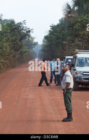 Iwokrama Rainforest; eine Station auf der Durchgangsstraße nur Nord-Süd-Straße durch Guyana. So dass Zugang von Georgetown nach Lethem Stockfoto