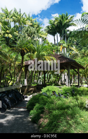 Botanischer Garten von Balata, Jardin de Balata, Insel Martinique, kleine Antillen, Karibisches Meer, Frankreich Stockfoto