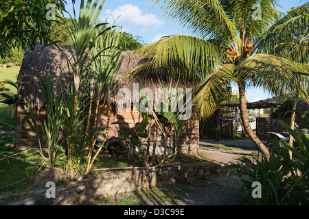 Sklaven-Savanne, Savanne des Esclaves, Insel Martinique, kleine Antillen, Karibisches Meer, Frankreich Stockfoto