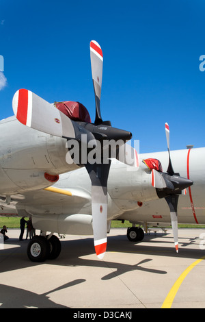 Propellermotoren von einem Marine p-3 Orion-Flugzeuge Stockfoto