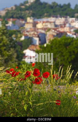 Bulgarien, Europa, Plovdiv, die Altstadt von archäologischen Komplex Nebet Tepe, wilde Blumen gesehen. Stockfoto