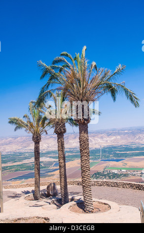 Palmen und Blick auf Jordan Tal aus Ruinen von The Crusader Festung Belvoir In unteren Galiläa, Israel Stockfoto