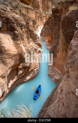 Ein Mann Kajaks in Havasu Creek in der Nähe, wo es in den Grand Canyon mündet. Calcium Carbonat Farben das Wasser hellblau. Stockfoto