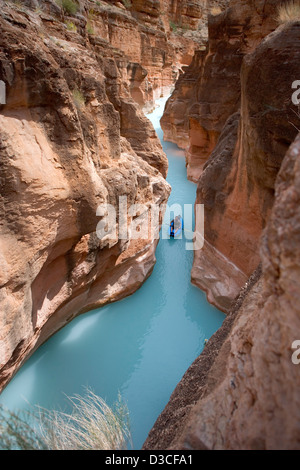 Ein Mann Kajaks in Havasu Creek in der Nähe, wo es in den Grand Canyon mündet. Calcium Carbonat Farben das Wasser hellblau. Stockfoto