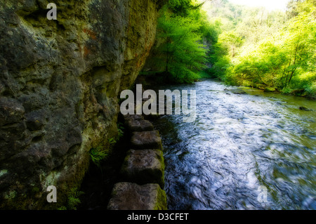 Trittsteine auf dem Fluss Wye in Monsal Dale Derbyshire England Stockfoto