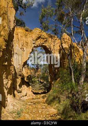 Natur-Bogen durch Wind- und Wassererosion entlang Creek am goldenen Gully - ehemaligen Goldbergbau Gegend in der Nähe von Hill End New South Wales Australien geschnitzt Stockfoto