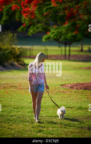 Junge Frau, die ihrem Hund im Park spazieren Stockfoto