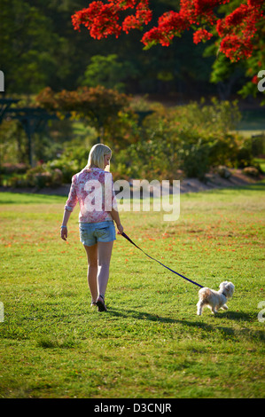 Junge Frau, die ihrem Hund im Park spazieren Stockfoto