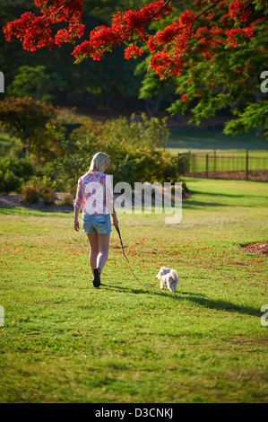 Junge Frau, die ihrem Hund im Park spazieren Stockfoto