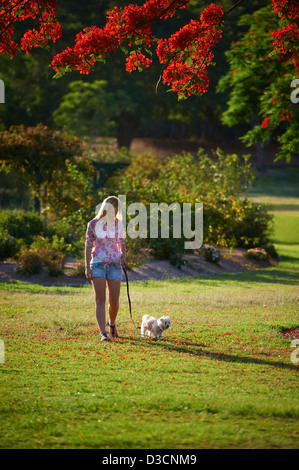 Junge Frau, die ihrem Hund im Park spazieren Stockfoto