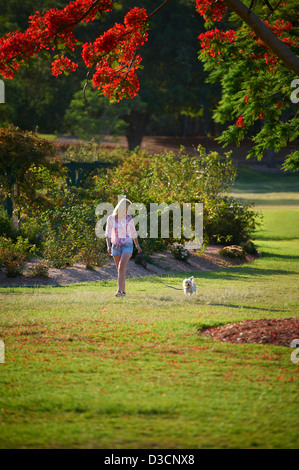 Junge Frau, die ihrem Hund im Park spazieren Stockfoto