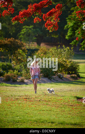 Junge Frau, die ihrem Hund im Park spazieren Stockfoto