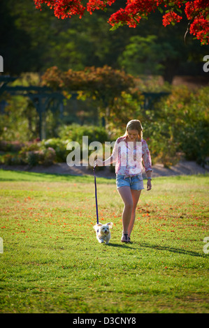 Junge Frau, die ihrem Hund im Park spazieren Stockfoto