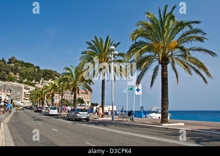 Palmen an der Promenade des Anglais in Nizza - Frankreich (englische Promenade) Stockfoto