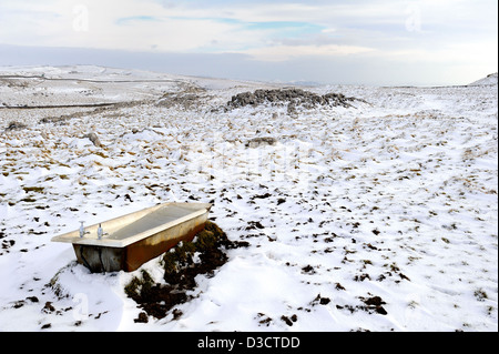 Stillgelegten Gusseisen Badewanne voller gefrorenes Wasser und für Schafe auf den Mauren über Malham Cove als Viehtränke genutzt. Stockfoto