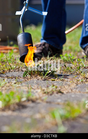 Kiel, Deutschland, Unkrautbekämpfung mit einem Gas-Brenner Stockfoto