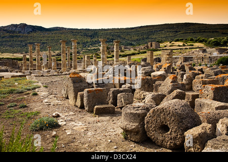 Römische Ausgrabungsstätte Baelo Claudia Bolonia Tarifa Costa De La Luz Cadiz Andalusien Spanien Stockfoto