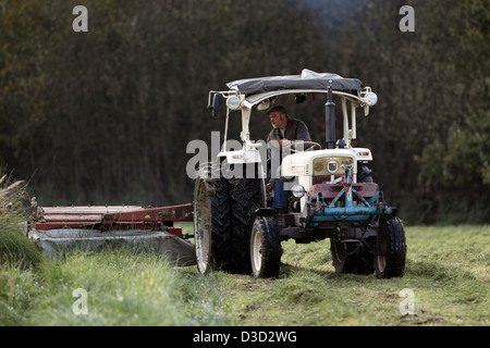 Strahlende Dorf, Deutschland, Landwirt auf einen Traktor, einen Rasen zu mähen Stockfoto