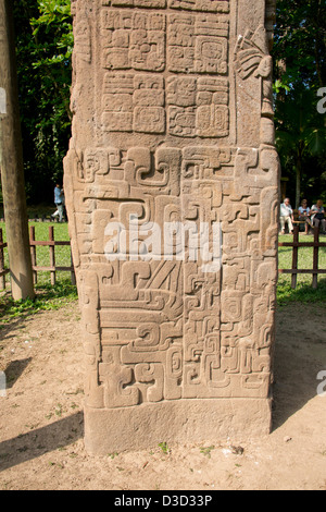 Guatemala, Quirigua Maya Ruinen archäologischen Park (UNESCO). Detail der kunstvoll geschnitzten steinerne Stele. Stockfoto