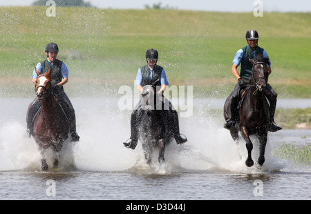 Reiter im Galopp durch das Wasser der Elbe Graditz Deutschland Stockfoto