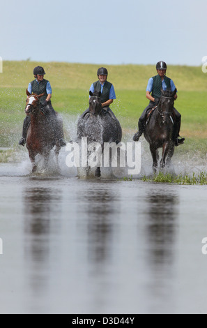 Reiter im Galopp durch das Wasser der Elbe Graditz Deutschland Stockfoto