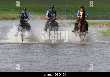 Reiter im Galopp durch das Wasser der Elbe Graditz Deutschland Stockfoto