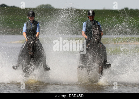 Reiter im Galopp durch das Wasser der Elbe Graditz Deutschland Stockfoto