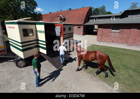 Gütersloh, Deutschland, Pferd in einen Lieferwagen geladen wird Stockfoto