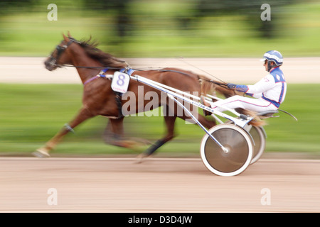 Berlin, Deutschland, Dynamik, Trabrennen Pferd in Aktion Stockfoto