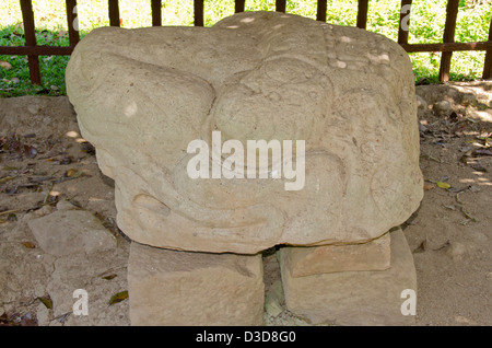 Guatemala, Quirigua Maya Ruinen archäologischen Park (UNESCO). Stockfoto