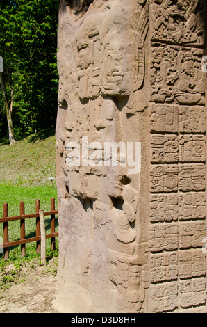 Guatemala, Quirigua Maya Ruinen archäologischen Park (UNESCO). Stockfoto