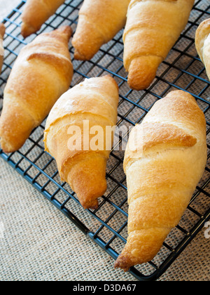 Backen kleine Croissants zum Frühstück. Stockfoto