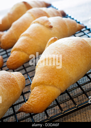 Backen kleine Croissants zum Frühstück. Stockfoto