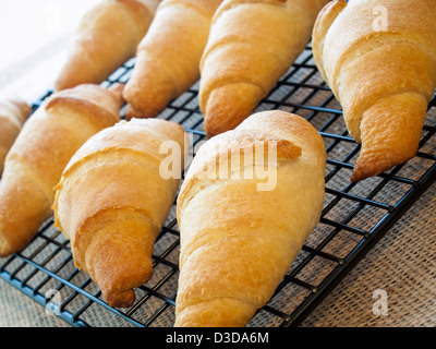 Backen kleine Croissants zum Frühstück. Stockfoto