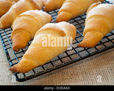 Backen kleine Croissants zum Frühstück. Stockfoto