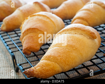 Backen kleine Croissants zum Frühstück. Stockfoto