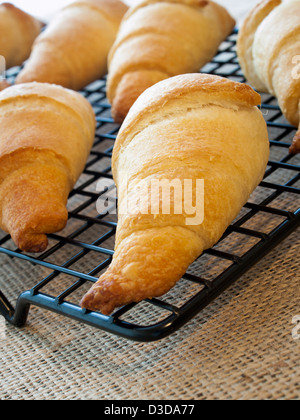 Backen kleine Croissants zum Frühstück. Stockfoto