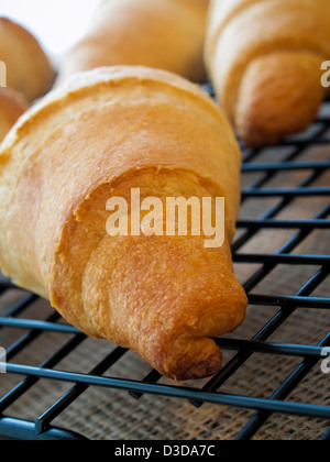 Backen kleine Croissants zum Frühstück. Stockfoto